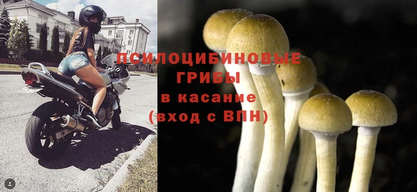 прущие крисы Балахна